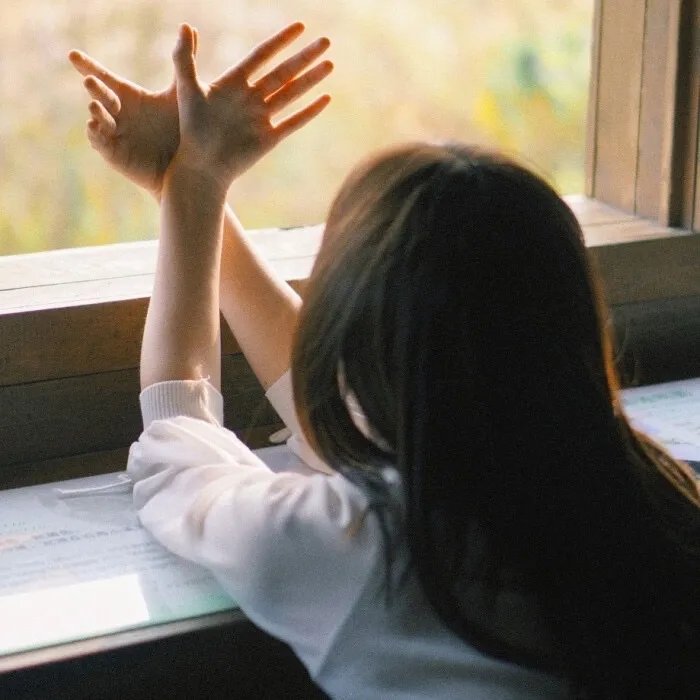 龙日—你死定了